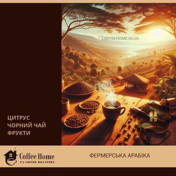 Фермерська кава Танзанія AA Kilimanjaro Machare: 100% Арабіка свіжого обсмаження. Фермерский кофе Танзания AA Kilimanjaro Machare: 100% Арабика свежей обжарки.