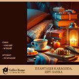 Карагода FOP1, 100 г